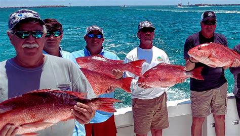 Destin Fishing Report Today