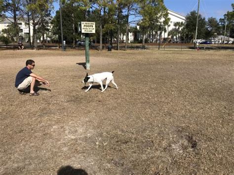 Destin FL Dog Park Fun