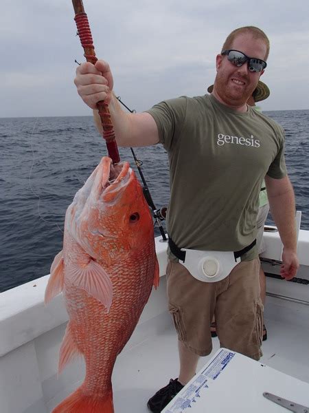 Destin Florida Bottom Fishing Trolling Private Charters