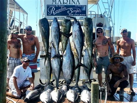 Destin Florida Fishing Great Florida Fishing