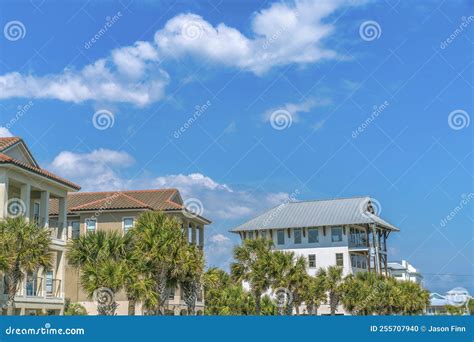 Destin Florida Palm Trees At The Front Of Beach Houses Editorial Image Image Of America