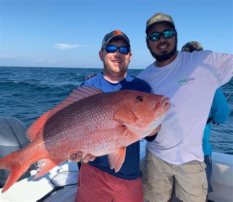 Destin Florida Snapper Fishing Season