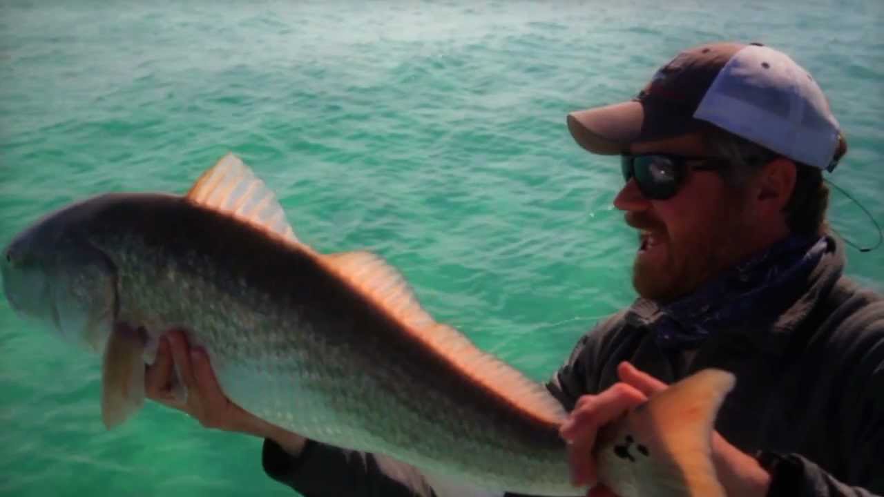 Destin Fly Fishing Youtube