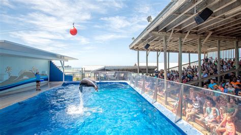 Destin Fort Walton Beach Aquarium Family Fun At The Gulfarium