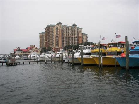 Destin Harbor 2021 All You Need To Know Before You Go Tours Amp Tickets With Photos