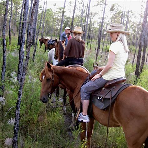 Destin Horseback Riding Tours