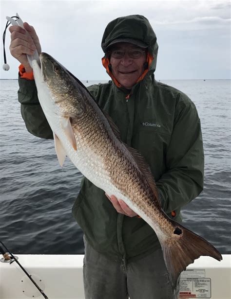 Destin Inshore Fishing Report 3 19 17 Last Cast Charters