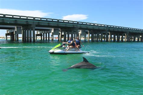 Destin Jet Ski Dolphin Tour Boogies Watersports