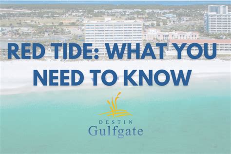 Destin Red Tide Updates Travel Guides Tips