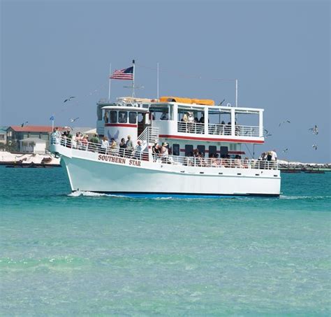 Destin S Original Dolphin Tour Brings You And Your Family Closer Than