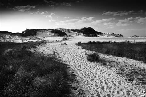 Destin Sand Dunes Jeff Harris Photography