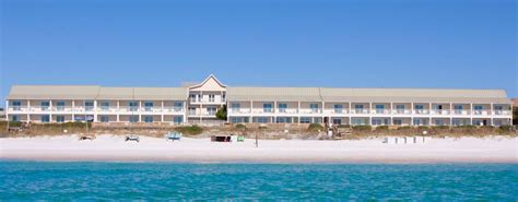 Destin Sea Life The Sea Oats Motel On Destin Beach