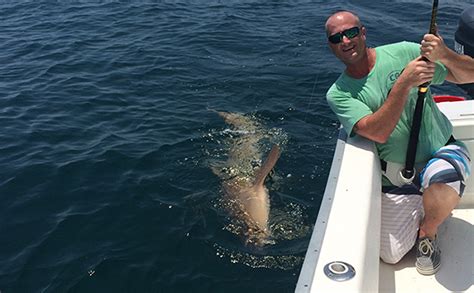 Destin Shark Charters O Sea D Charters