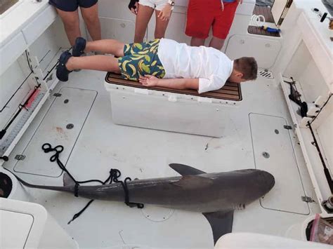 Destin Shark Fishing Adventure Tripshock