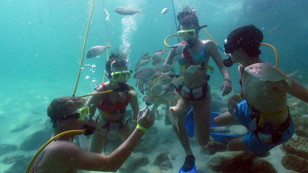 Destin Snorkel 2020 All You Need To Know Before You Go With Photos Tripadvisor