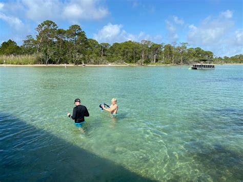 Destin Snorkel Och Delfinkryssning Getyourguide