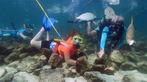 Destin Snorkel Tours Video 04 Snuba Diving Snorkeling Destin