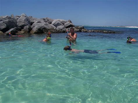 Destin Snorkeling Shelling Excursion Aboard Harbor Lady Tripshock