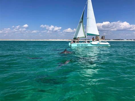 Destin Snorkeling Tours With Captain Pam Smile N Wave