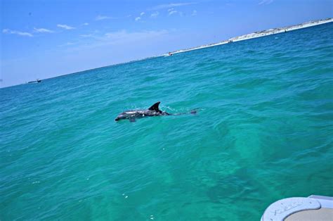 Destin Water Limo Destin Roadtrippers