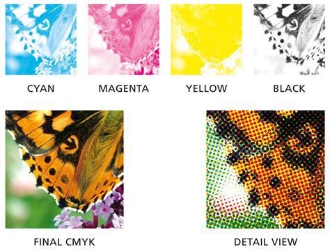 CMYK Color Space for Offset Printing in InDesign