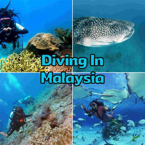 Destination Diving In Malaysia