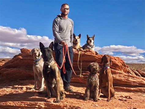 Destination Dog Training Best Dog Puppy Trainer In Phoenix Arizona