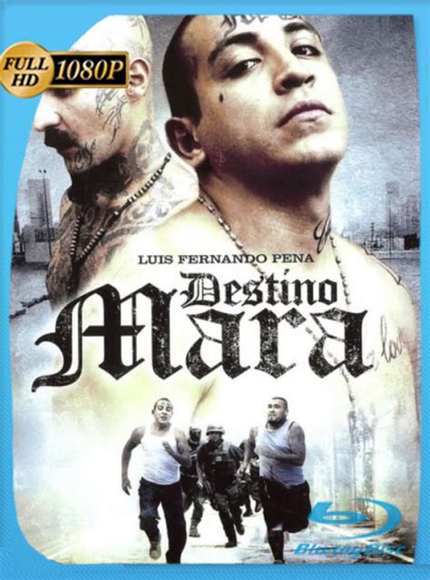 Destino Mara 2010 Web Dl 1080P Latino Googledrive Peliculas