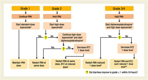 Diarrhea Management Algorithm Guideline For Management Of Diarrhea