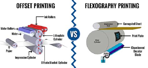 Difference Between Flexographic Printing And Offset Printing