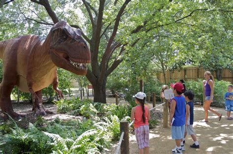 Dinosaurs Come To Life At National Zoo This Summer Wtop News