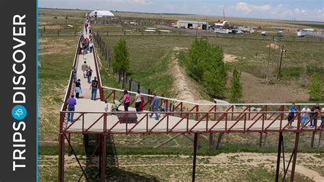 Discover The Wild Animal Sanctuary Near Denver Colorado Colorado Springs Le Colorado Road