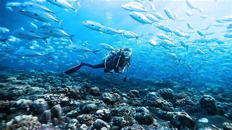 Diving Destin FL