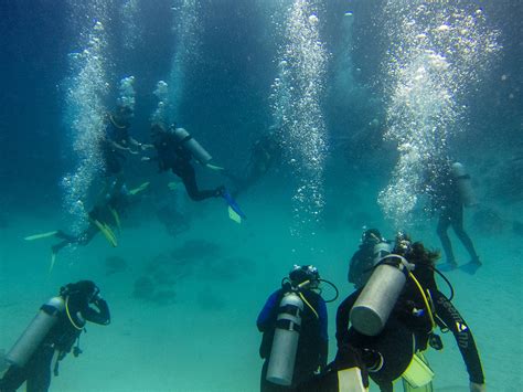 Diving In Destin The Sea Oats Motel Amp Management Company