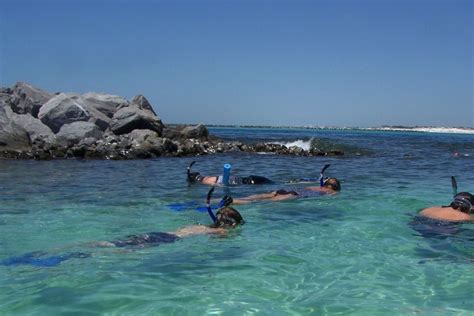 Diving Snorkeling Destin Fort Walton Beach Travel Guide