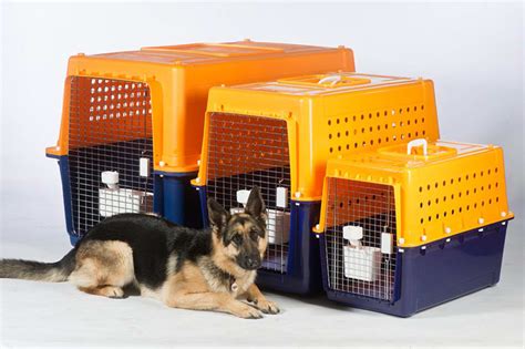 Dog Crates Cages And Boxes For Travel Car Advice Carsguide