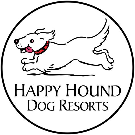 Dog Daycare Happy Hound Dog Resorts