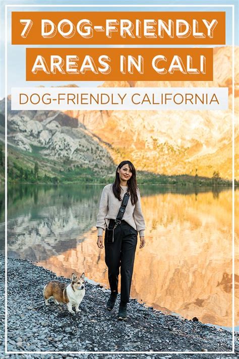 Dog Friendly California Destinations