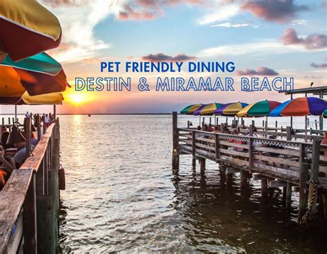 Dog Friendly Resturants In Destin Beach Condos In Destin