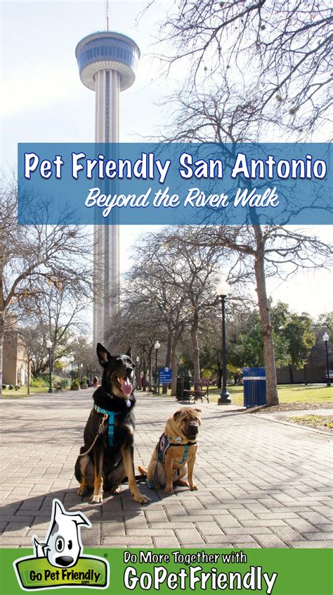 Dog Friendly San Antonio Beyond The River Walk Gopetfriendly Com