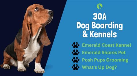 Destin FL Dog Kennels