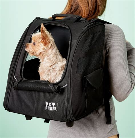 5 Tips Dog Carrier