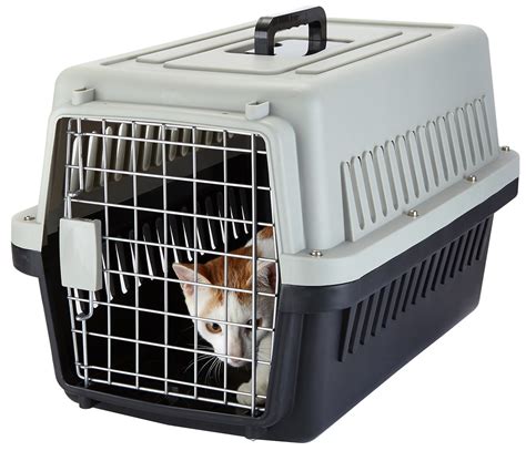 Airline Approved Dog Travel Crates