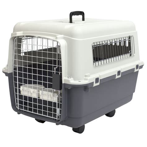 Dog Travel Kennel Essentials