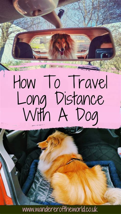 Dog Travel Tips How To Travel Long Distance With A Dog Dog Travel Accessories Road Trip With