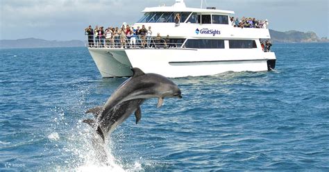 Dolphin Cruise Sandwich Harbour Tour Combo Travel Republic Africa