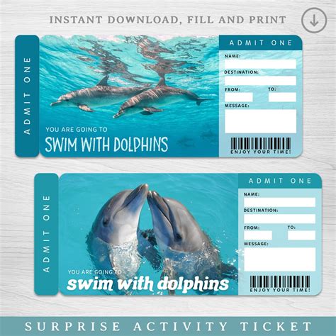 Dolphin Encounter Surprise Reveal Swim With Dolphins Trip Etsy