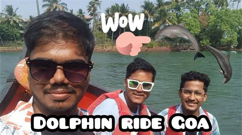 Dolphin Ride Youtube