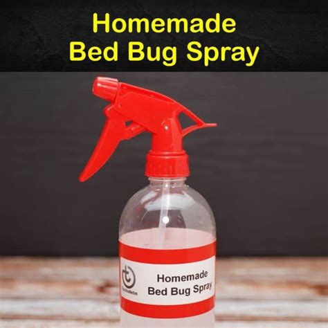 Doterra Bed Bug Spray Recipe Infoupdate Org