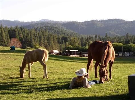 Dude Ranch Vacations For The Single Traveller Ranch Seeker Dude